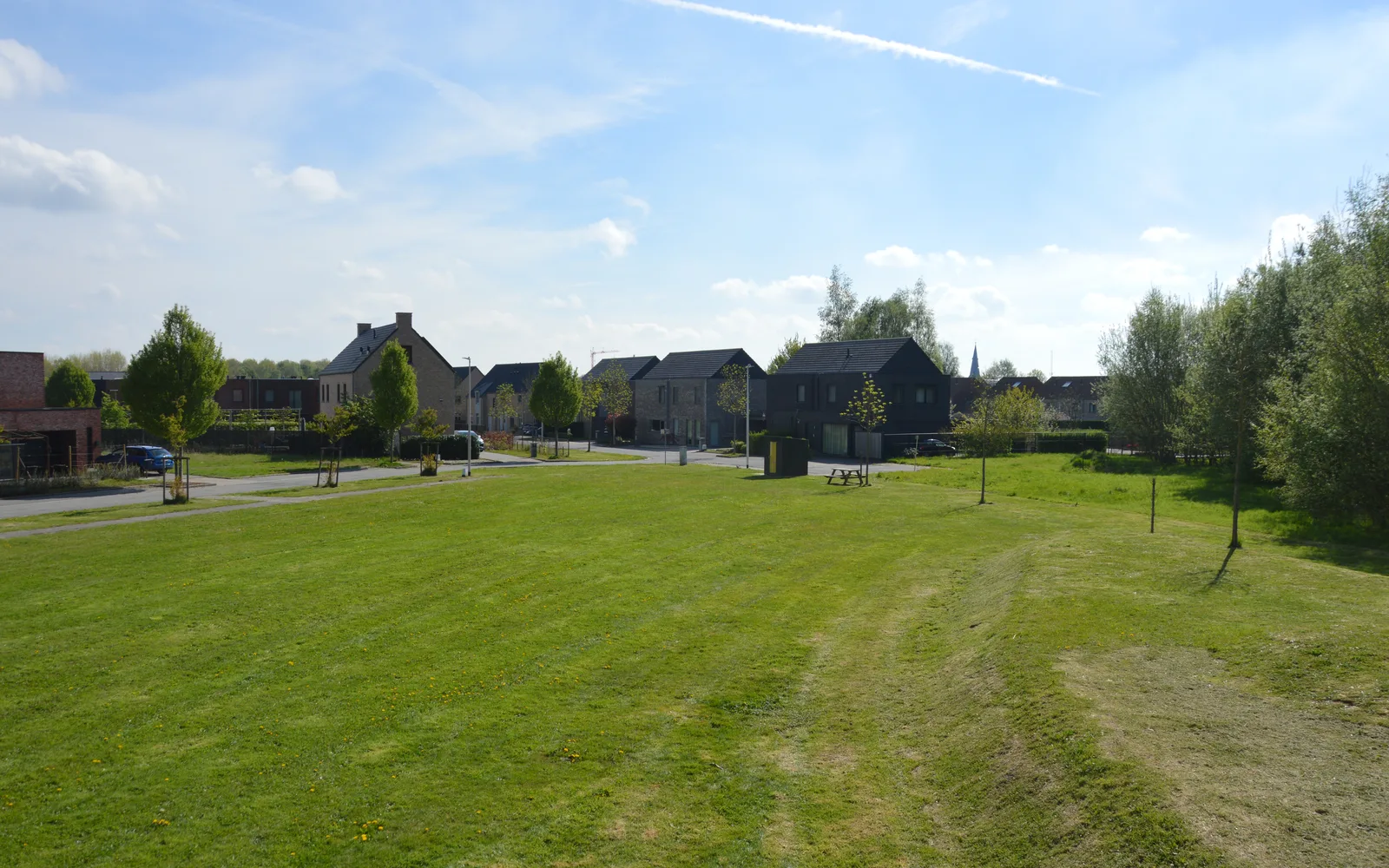Suburban residential neighborhood with tree-lined streets and modern homes